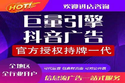 成功SEM竞价托管案例分析报告